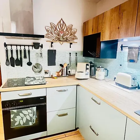 Appartement Rooftop Panoramique Avec Vue Sur Les Pyrenees Pau