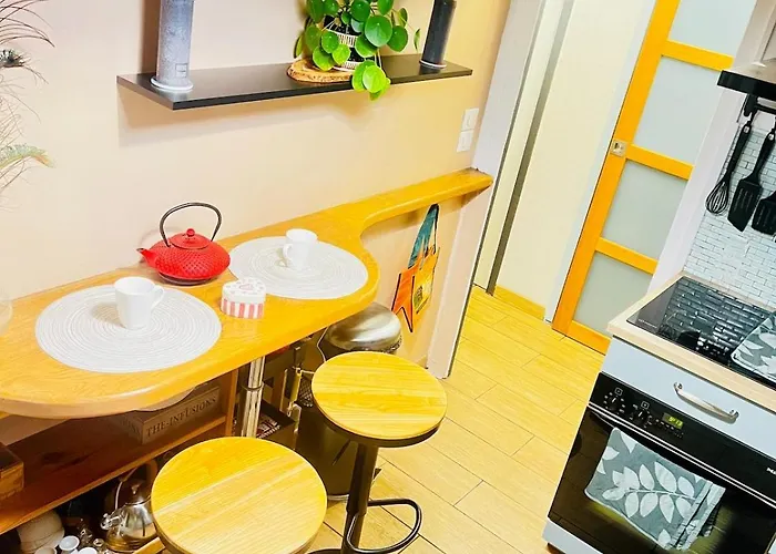 Rooftop Panoramique Avec Vue Sur Les Pyrenees *